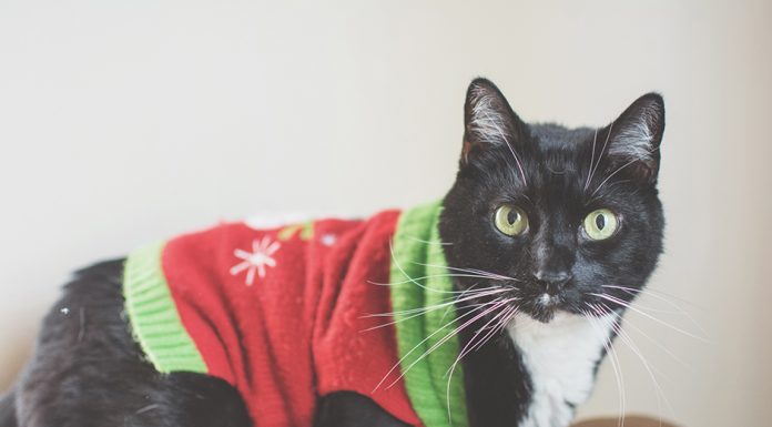 A Home for the Holidays