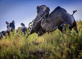 All of the Native American Culture in One Day