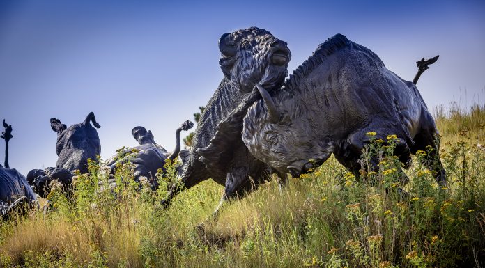 All of the Native American Culture in One Day