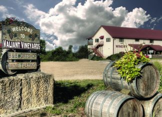 GREAT DAKOTA WINE FEST