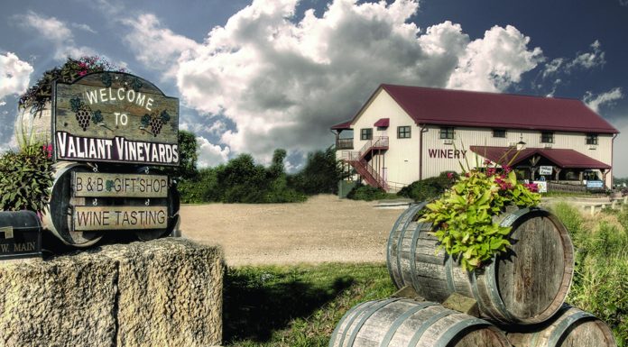 GREAT DAKOTA WINE FEST