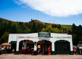 CHUBBY CHIPMUNK: A Chocolate Craze