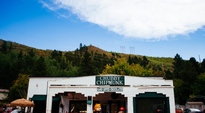 CHUBBY CHIPMUNK: A Chocolate Craze
