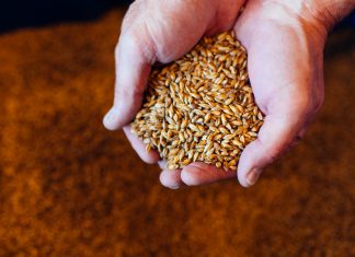 New Breweries Continue South Dakota’s Booming Beer Culture