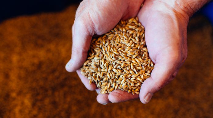 New Breweries Continue South Dakota’s Booming Beer Culture