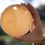 SpearfishHoney-Slider