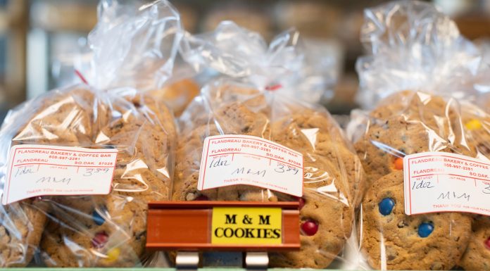 Come Visit: Flandreau