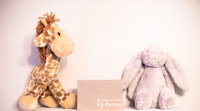 Where The Child Things Are: Home Is Where the Crib Is