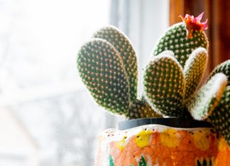 TIPS TO BECOMING AN AIRBNB SUPERHOST