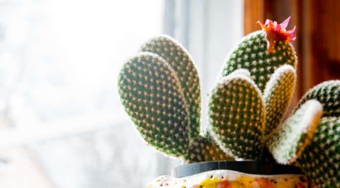 TIPS TO BECOMING AN AIRBNB SUPERHOST