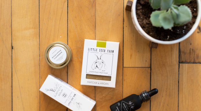 Terra Shepherd: Wellness One Step At A Time