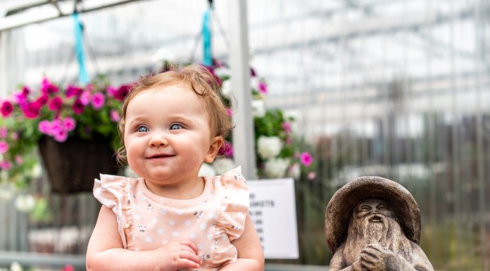 Where The Child Things Are: I Get a Holiday?