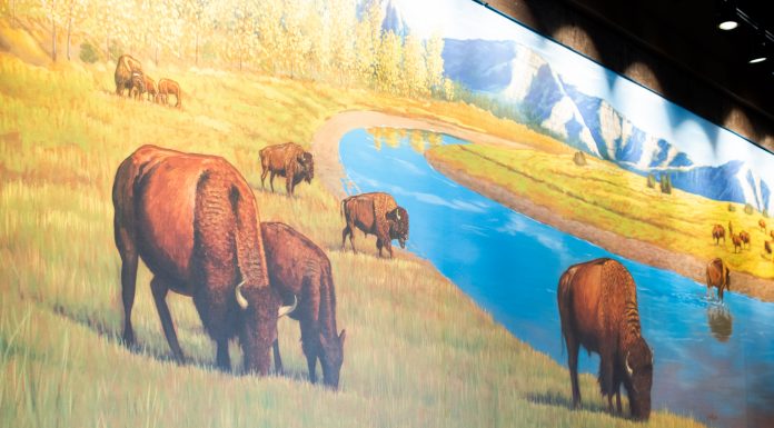 Try It: Roam Kitchen + Bar Buffalo Mural