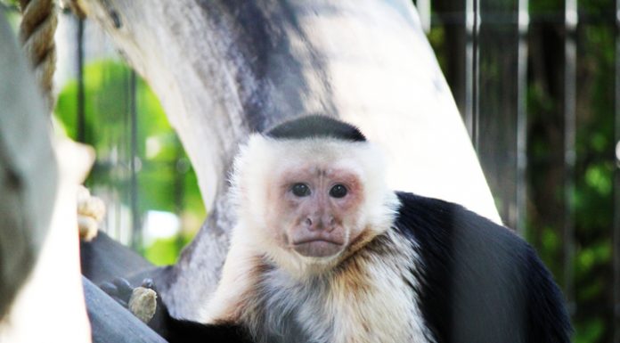 605: UP NEXT | DAYS OF ’76, SIPPIN’ SAFARI & MORE