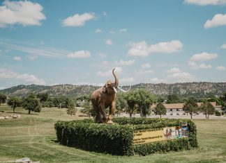 Come Visit: Hot Springs