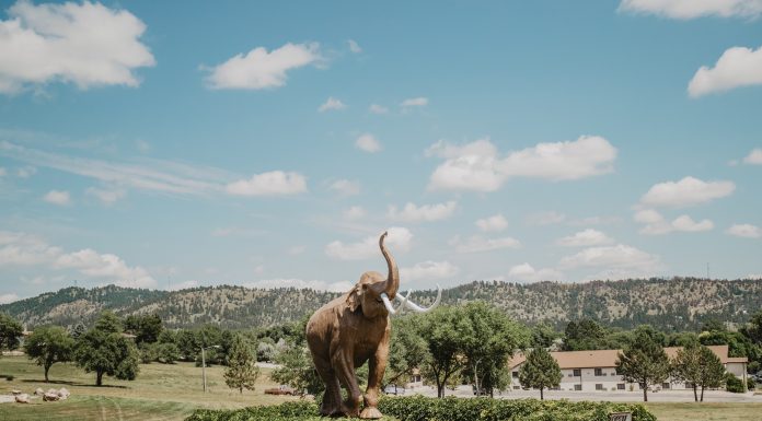 Come Visit: Hot Springs