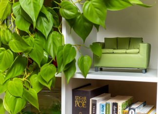 The Black Hills Green Couch Project