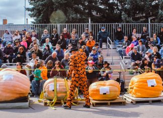 605: UP NEXT | THE GREAT DOWNTOWN PUMPKIN FESTIVAL, HAUNTED DEADWOOD, AND MORE