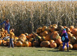 605: UP NEXT | CULTURECON, SCARE MAZE, AND MORE