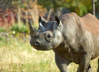 6 Things To Do This Month