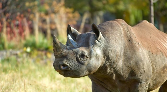 6 Things To Do This Month