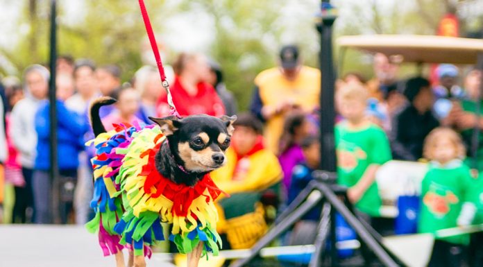 6 Things To Do This Month