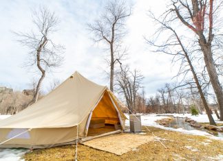 Glamping Beneath the Pines