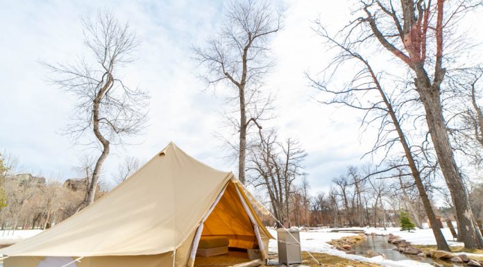 Glamping Beneath the Pines