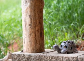 The Turtle House | Dome Sweet Dome