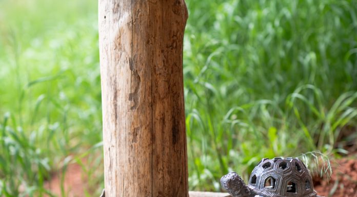 The Turtle House | Dome Sweet Dome