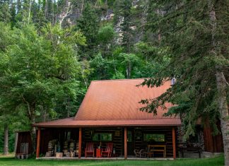 Cabin in the Canyon