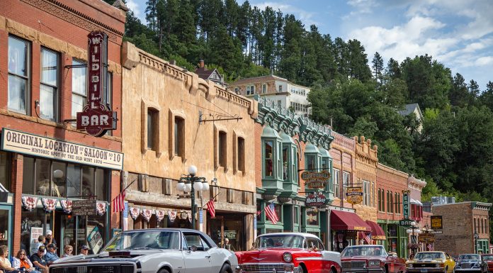 6 Things To Do This Month | August