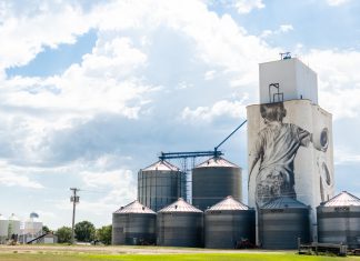 Public Art | Embellishing the Plains