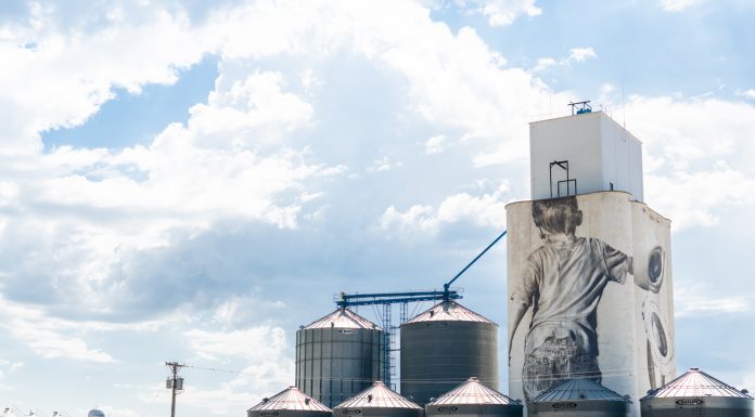 Public Art | Embellishing the Plains