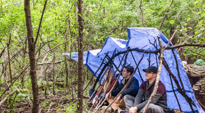 605 Tries | Shelter 101