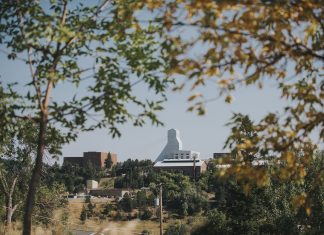 6 Things To Do This Month | November