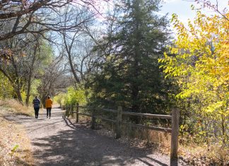 Hang Out With | Alexa Giebink