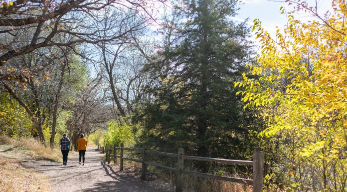 Hang Out With | Alexa Giebink