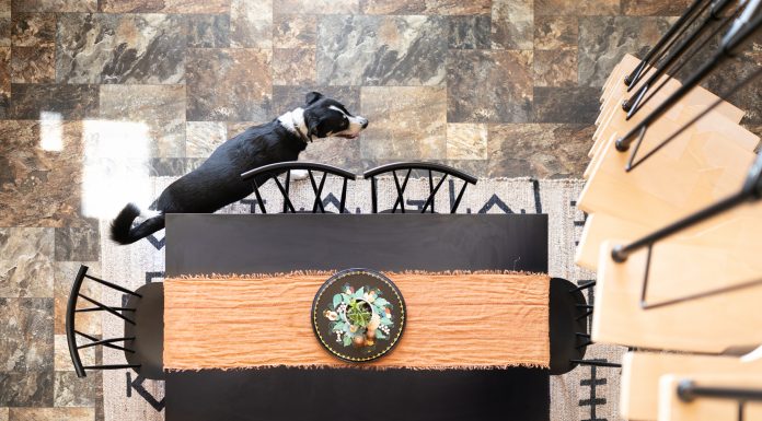 Cool in Custer | Pine Palace