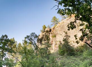Dakota Depths | Black Hills Cave and Nature Conservancy