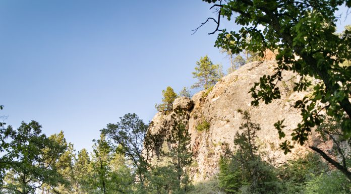 Dakota Depths | Black Hills Cave and Nature Conservancy