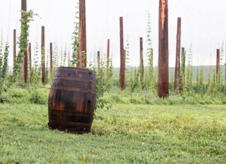 August | 605 Brewers Highlight