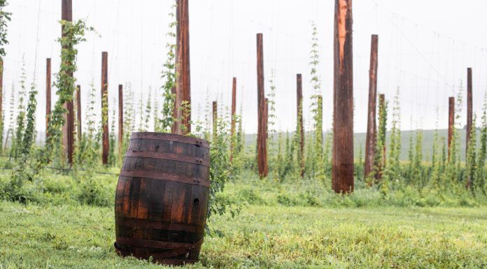 August | 605 Brewers Highlight