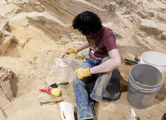 The 605 Show Podcast: Episode 42 | Live from Levitt Sioux Falls with The Mammoth Site