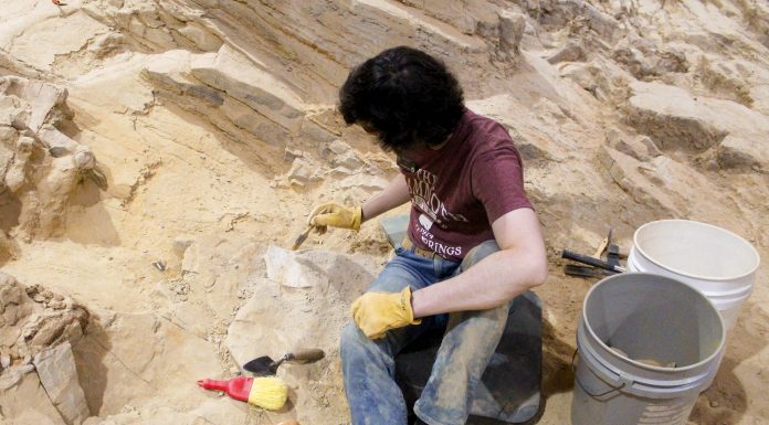 The 605 Show Podcast: Episode 42 | Live from Levitt Sioux Falls with The Mammoth Site