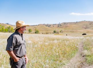 605 Series | Enhancing Habitat and Access | Southern Black Hills