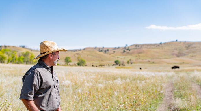 605 Series | Enhancing Habitat and Access | Southern Black Hills