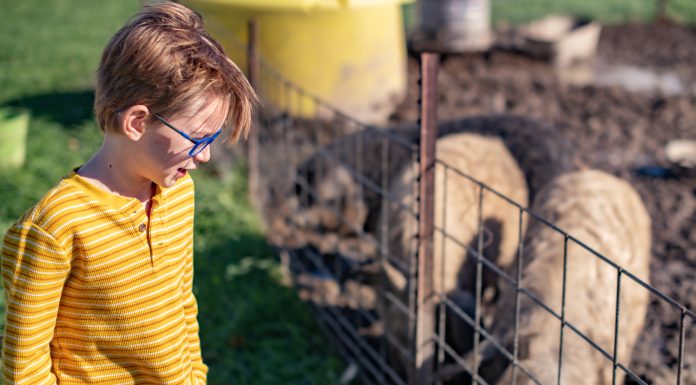 The 605 Show Podcast: Episode 45 | Live from Thinker Networks with South Dakota Corn