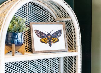 605 Spotlight | The Greenhouse