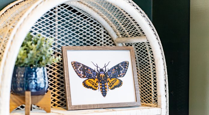 605 Spotlight | The Greenhouse